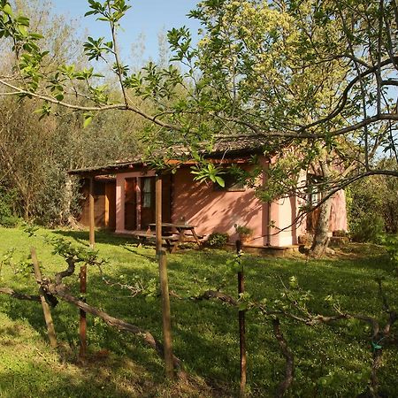 Casale Vigna Carbona Guest House Gavorrano Ngoại thất bức ảnh
