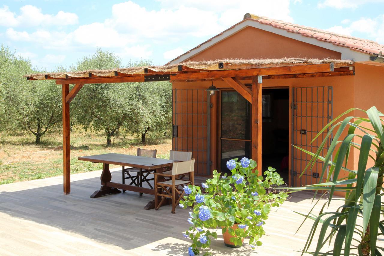 Casale Vigna Carbona Guest House Gavorrano Ngoại thất bức ảnh
